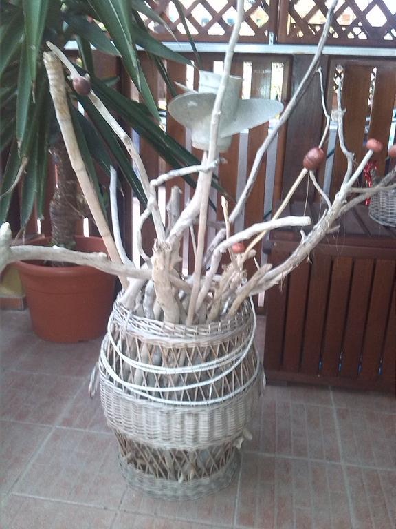 Appartamenti Claudia Rio Rio Marina Kamer foto